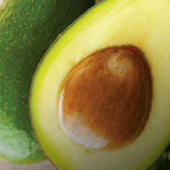 Imagen de Ingrediente cerrado Aguacate para Mobile Imagen de Ingrediente cerrado Aguacate para Mobile