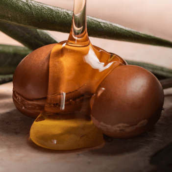 Imagen de Ingrediente cerrado Argán para Mobile Imagen de Ingrediente cerrado Argán para Mobile