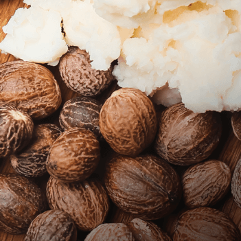 Imagen de Ingrediente cerrado Karité para Mobile Imagen de Ingrediente cerrado Karité para Mobile