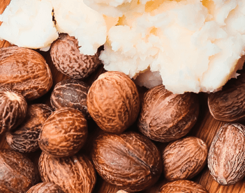 Imagen de Ingrediente Karité para Escritorio Imagen de Ingrediente Karité para Escritorio